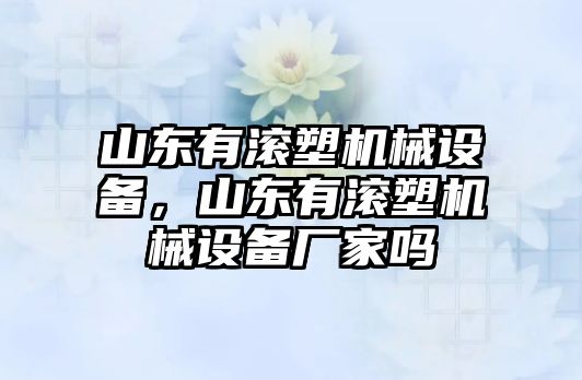 山東有滾塑機械設備，山東有滾塑機械設備廠家嗎