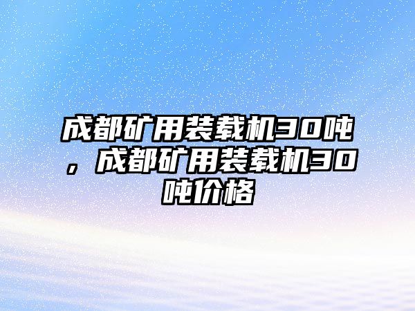 成都礦用裝載機30噸，成都礦用裝載機30噸價格