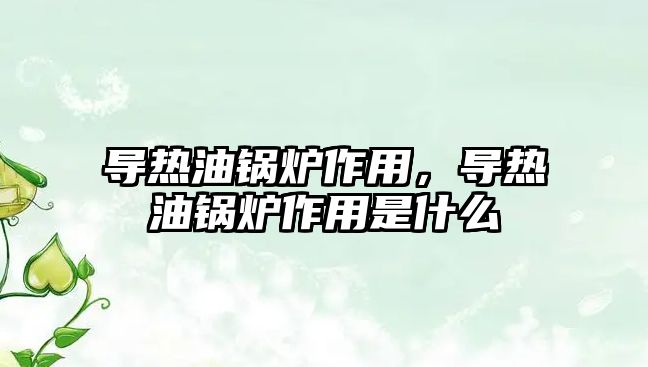 導熱油鍋爐作用，導熱油鍋爐作用是什么