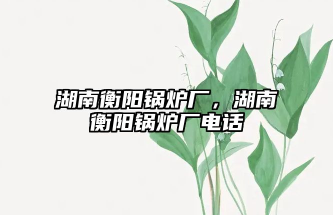 湖南衡陽(yáng)鍋爐廠，湖南衡陽(yáng)鍋爐廠電話