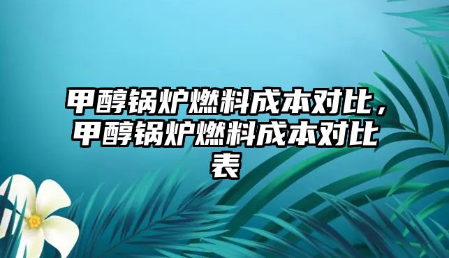 甲醇鍋爐燃料成本對比，甲醇鍋爐燃料成本對比表