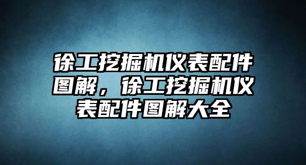 徐工挖掘機儀表配件圖解，徐工挖掘機儀表配件圖解大全