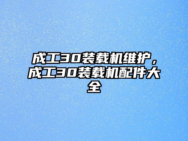 成工30裝載機維護，成工30裝載機配件大全