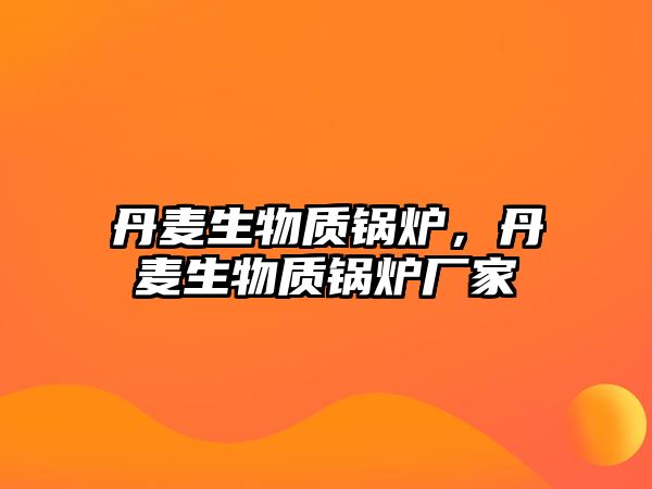 丹麥生物質鍋爐，丹麥生物質鍋爐廠家