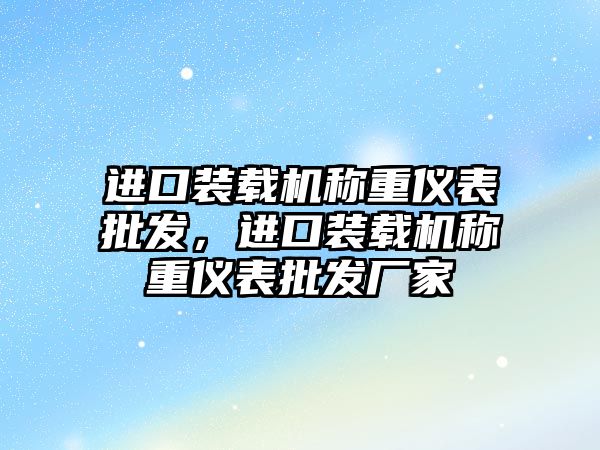 進口裝載機稱重儀表批發，進口裝載機稱重儀表批發廠家