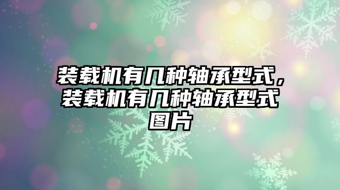 裝載機有幾種軸承型式，裝載機有幾種軸承型式圖片