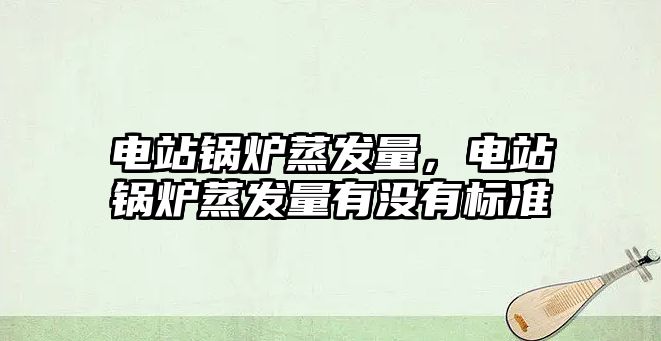 電站鍋爐蒸發量，電站鍋爐蒸發量有沒有標準