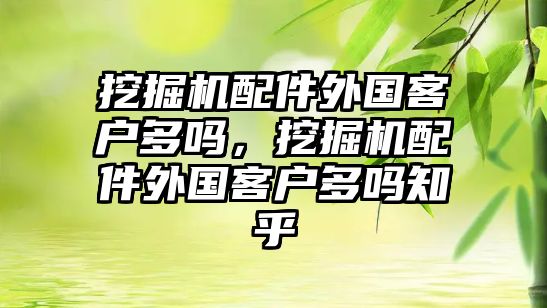 挖掘機配件外國客戶多嗎，挖掘機配件外國客戶多嗎知乎