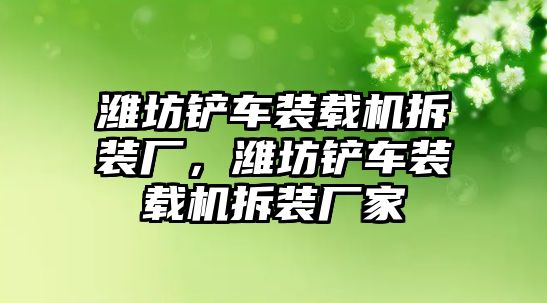 濰坊鏟車裝載機拆裝廠，濰坊鏟車裝載機拆裝廠家