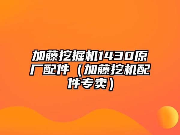 加藤挖掘機(jī)1430原廠配件（加藤挖機(jī)配件專賣）