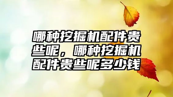 哪種挖掘機配件貴些呢，哪種挖掘機配件貴些呢多少錢