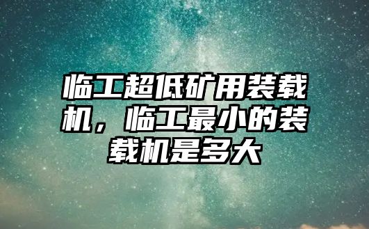 臨工超低礦用裝載機，臨工最小的裝載機是多大