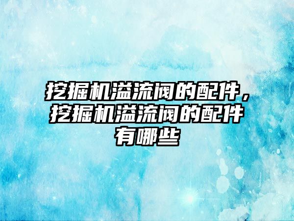 挖掘機溢流閥的配件，挖掘機溢流閥的配件有哪些