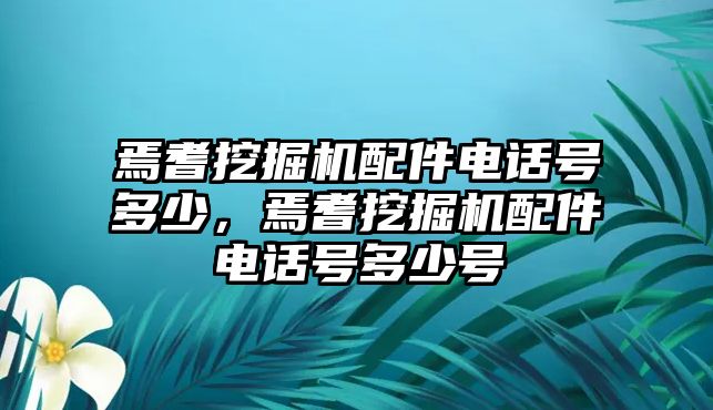 焉耆挖掘機配件電話號多少，焉耆挖掘機配件電話號多少號