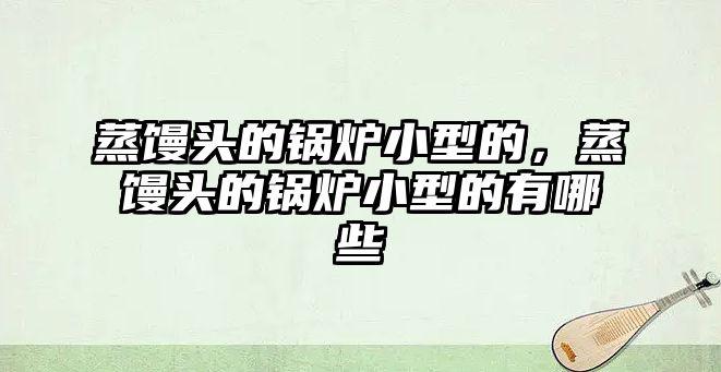 蒸饅頭的鍋爐小型的，蒸饅頭的鍋爐小型的有哪些