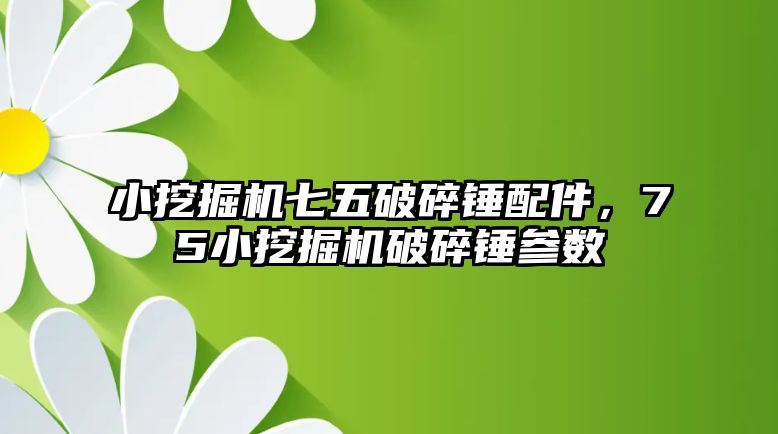 小挖掘機七五破碎錘配件，75小挖掘機破碎錘參數