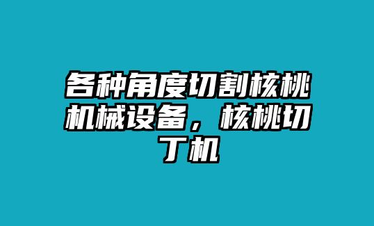 各種角度切割核桃機械設備，核桃切丁機