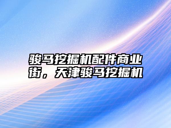 駿馬挖掘機配件商業街，天津駿馬挖掘機