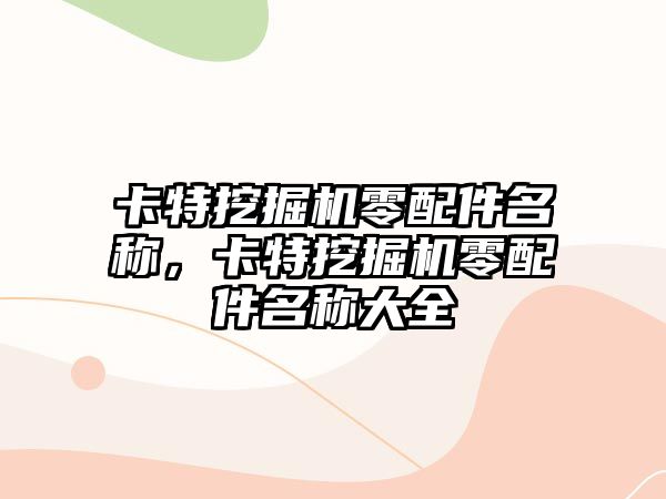 卡特挖掘機零配件名稱，卡特挖掘機零配件名稱大全