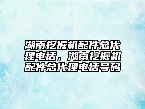 湖南挖掘機配件總代理電話，湖南挖掘機配件總代理電話號碼