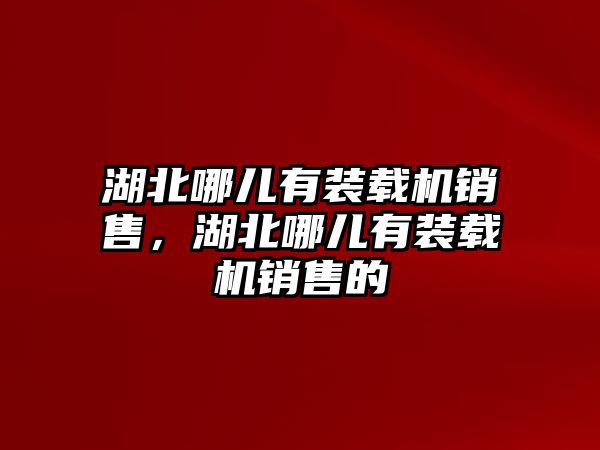 湖北哪兒有裝載機銷售，湖北哪兒有裝載機銷售的