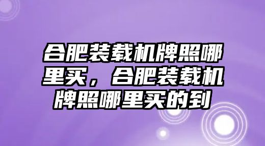 合肥裝載機(jī)牌照哪里買(mǎi)，合肥裝載機(jī)牌照哪里買(mǎi)的到