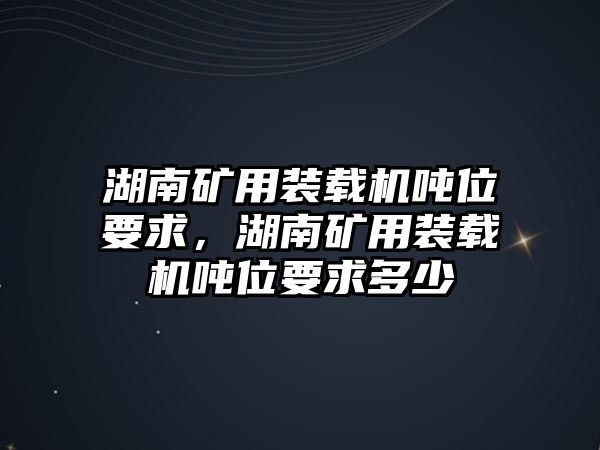 湖南礦用裝載機噸位要求，湖南礦用裝載機噸位要求多少