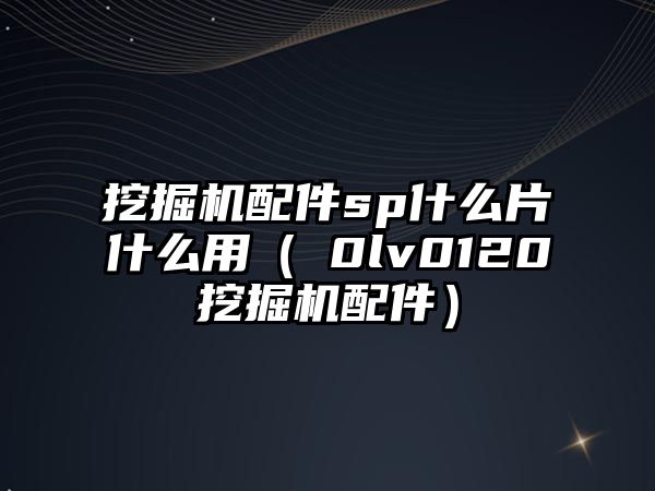 挖掘機配件sp什么片什么用（ⅴ0lv0120挖掘機配件）