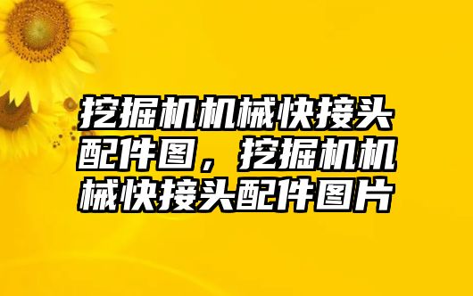 挖掘機機械快接頭配件圖，挖掘機機械快接頭配件圖片