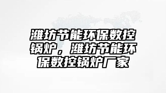 濰坊節能環保數控鍋爐，濰坊節能環保數控鍋爐廠家