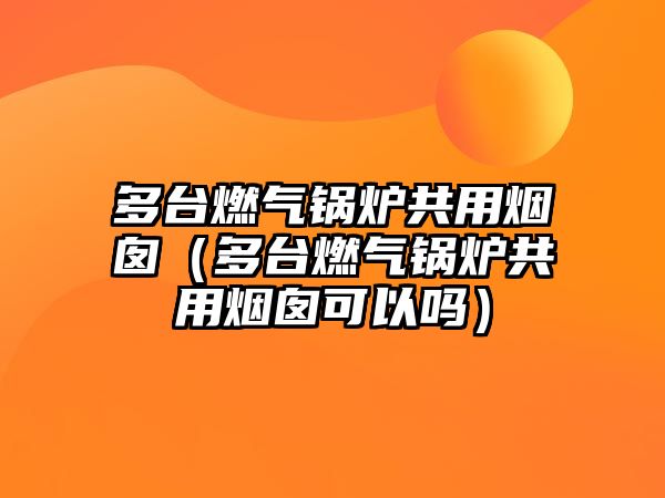 多臺(tái)燃?xì)忮仩t共用煙囪（多臺(tái)燃?xì)忮仩t共用煙囪可以嗎）