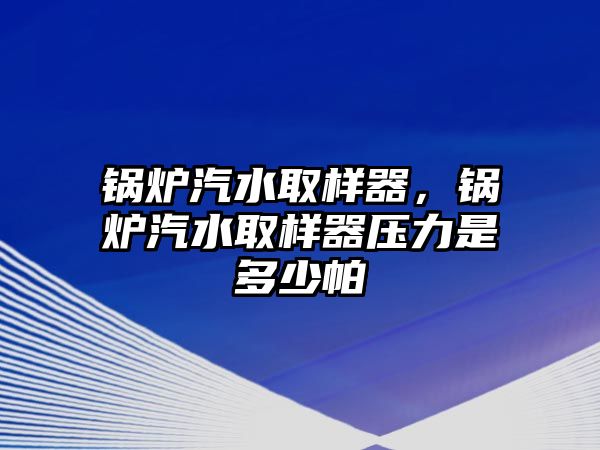 鍋爐汽水取樣器，鍋爐汽水取樣器壓力是多少帕