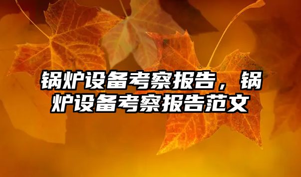 鍋爐設備考察報告，鍋爐設備考察報告范文