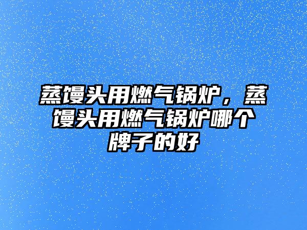 蒸饅頭用燃氣鍋爐，蒸饅頭用燃氣鍋爐哪個牌子的好