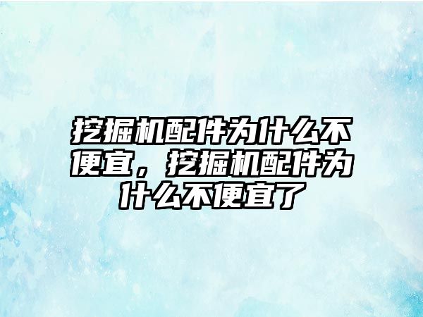 挖掘機配件為什么不便宜，挖掘機配件為什么不便宜了