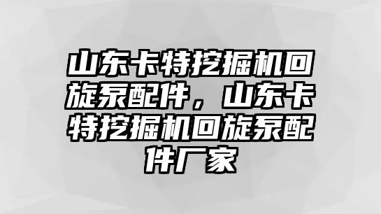 山東卡特挖掘機回旋泵配件，山東卡特挖掘機回旋泵配件廠家