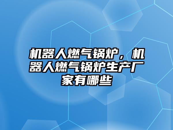 機器人燃氣鍋爐，機器人燃氣鍋爐生產廠家有哪些