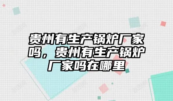 貴州有生產鍋爐廠家嗎，貴州有生產鍋爐廠家嗎在哪里