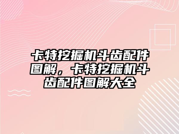 卡特挖掘機斗齒配件圖解，卡特挖掘機斗齒配件圖解大全