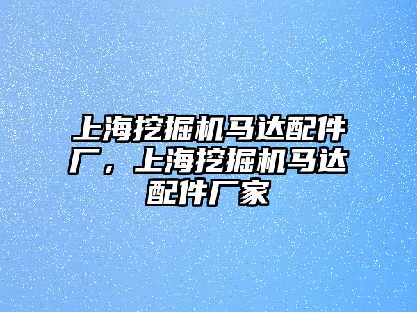 上海挖掘機馬達配件廠，上海挖掘機馬達配件廠家