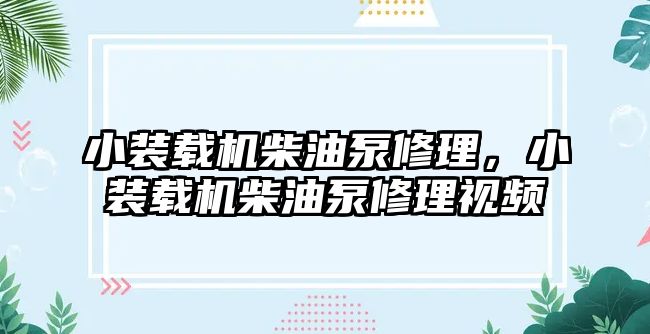 小裝載機柴油泵修理，小裝載機柴油泵修理視頻