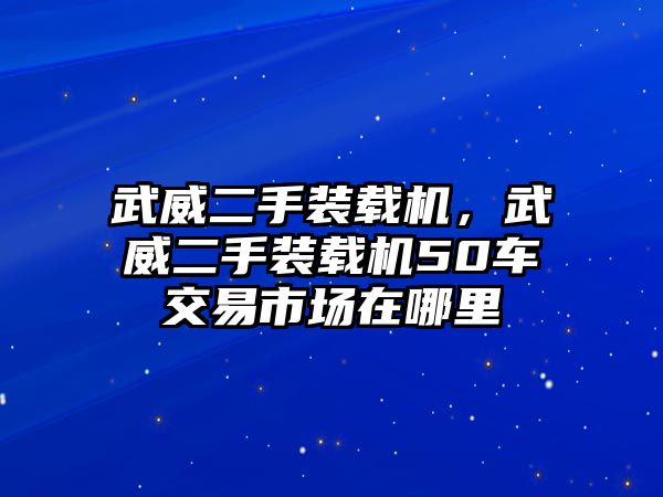 武威二手裝載機(jī)，武威二手裝載機(jī)50車交易市場(chǎng)在哪里