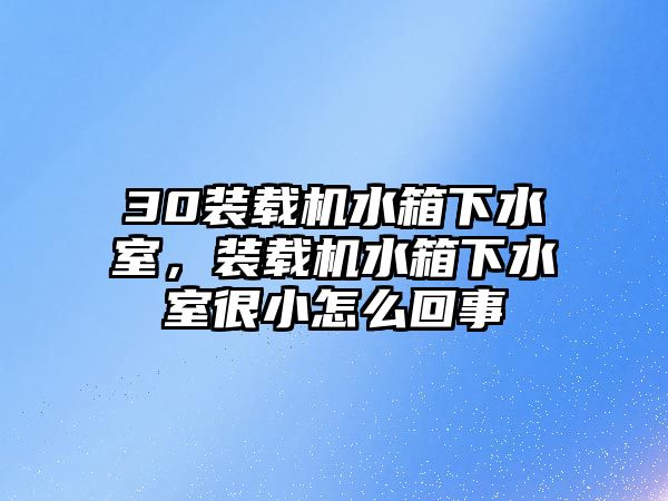 30裝載機水箱下水室，裝載機水箱下水室很小怎么回事