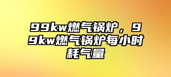 99kw燃?xì)忮仩t，99kw燃?xì)忮仩t每小時(shí)耗氣量