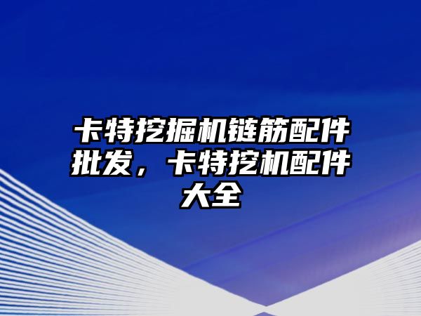 卡特挖掘機鏈筋配件批發(fā)，卡特挖機配件大全