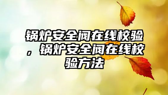 鍋爐安全閥在線校驗，鍋爐安全閥在線校驗方法