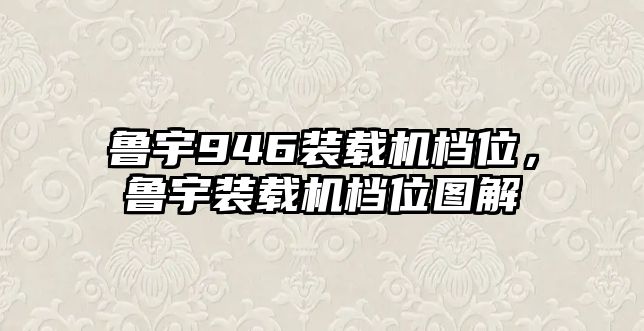 魯宇946裝載機檔位，魯宇裝載機檔位圖解