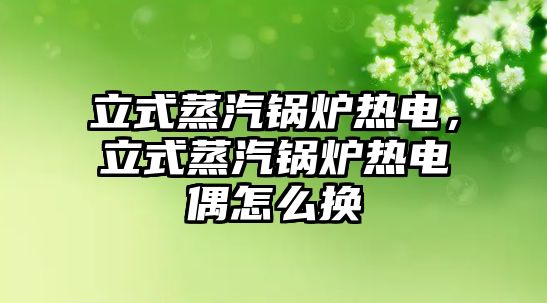 立式蒸汽鍋爐熱電，立式蒸汽鍋爐熱電偶怎么換