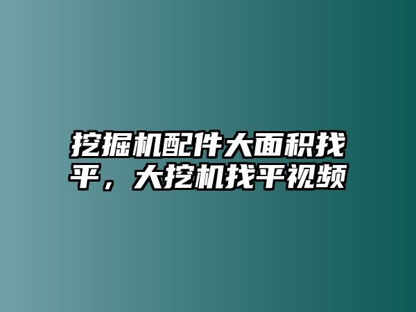 挖掘機配件大面積找平，大挖機找平視頻