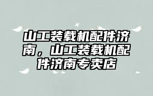 山工裝載機(jī)配件濟(jì)南，山工裝載機(jī)配件濟(jì)南專賣店